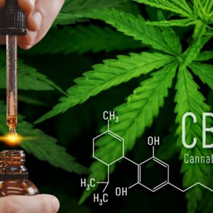 where can i buy cannabidiol